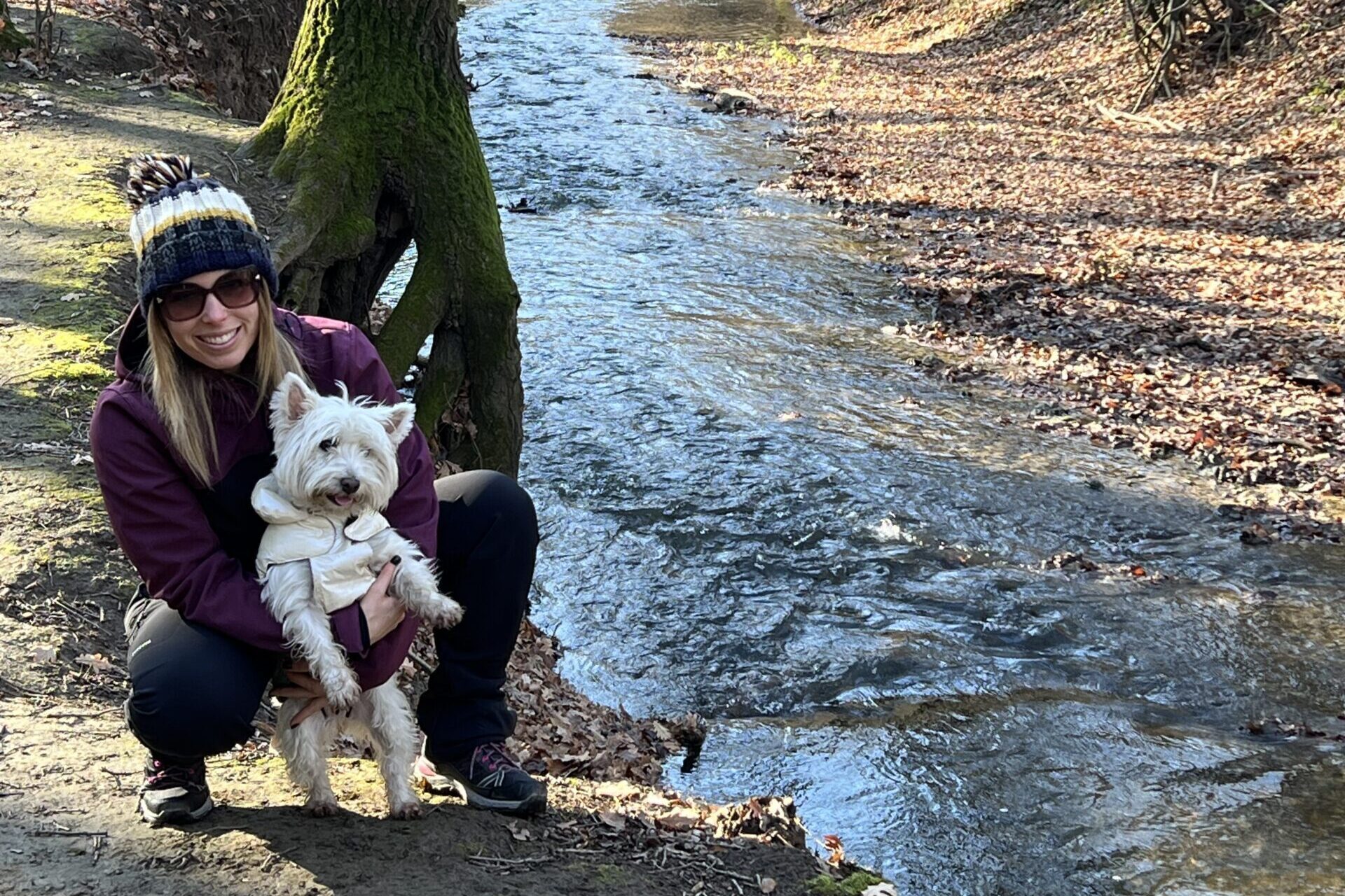 saját testsúlyos edzés székesfehérvár